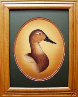 Ducks Unlimited/Canv asback Hen/Duck Decoy Den/Fishing Den/Hunting