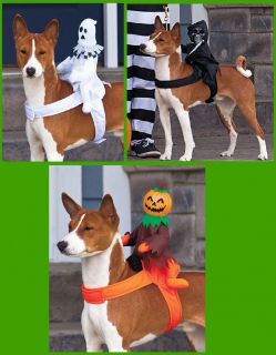CUTE Ride On Pumpkin or Grim Reaper or Ghost Halloween Dog Costumes