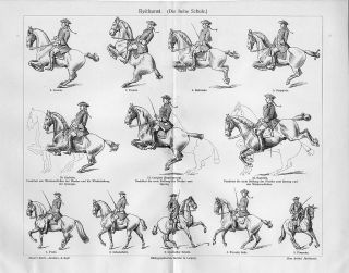 1894 RIDING THE HIGH SCHOOL EQUESTRIAN HORSE Antique Engraving Print