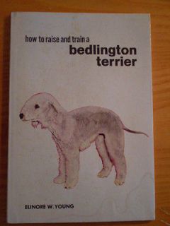 1966 How To Raise and Train A Bedlington Terrier Dog Book~Excellent