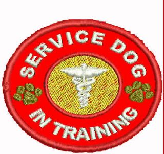 dog training vest
