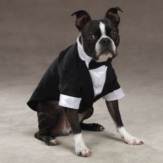 East Side Collection Yappily Ever After Groom Dog Tuxedo Pet Puppy