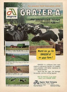 1966 Asgrow Seed Co Grazer A Sorghum Sudangrass Cow Farm Ad