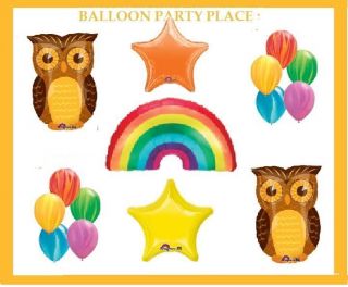 RAINBOW birthday party OWL DECORATIONS supplies BALLOONS farm barn