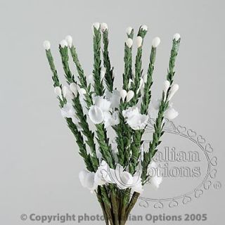 Scottish White Heather Flower Stems Wedding Favour Decoration Craft