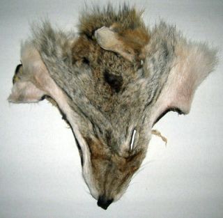 COYOTE FUR FACE MASK