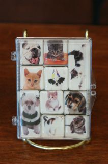 NWT LucyLu Designs Mighty Magnets Puppies & Kittens Set of 10