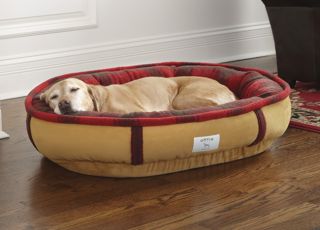 Wraparound Dog Bed / Large Dogs 50 80 Lbs., , Large