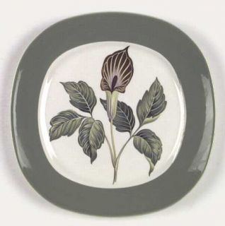Taylor, Smith & T (TS&T) King ODell Dinner Plate, Fine China Dinnerware   Green