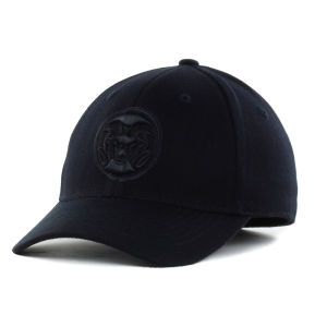 Colorado State Rams Top of the World NCAA Black Tonal PC Cap