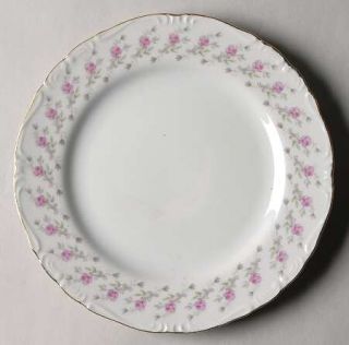 Lovely Mary Anne Salad Plate, Fine China Dinnerware   Pink Roses On Rim