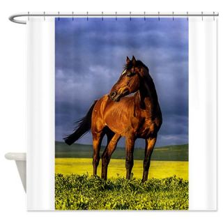  Brown horse on sunset Shower Curtain  Use code FREECART at Checkout