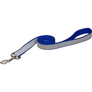 Lazer Brite Personalized Reflective Dog Leash in Blue