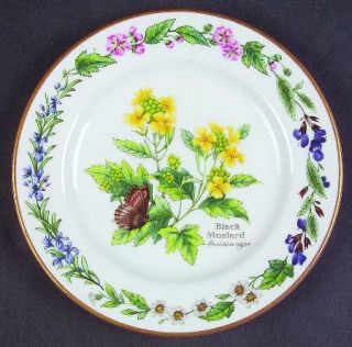 Royal Worcester Worcester Herbs Gold Trim Bread & Butter Plate, Fine China Dinne