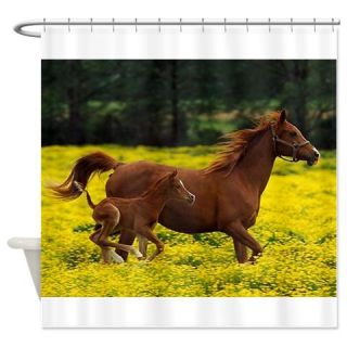  horse and colt Shower Curtain  Use code FREECART at Checkout