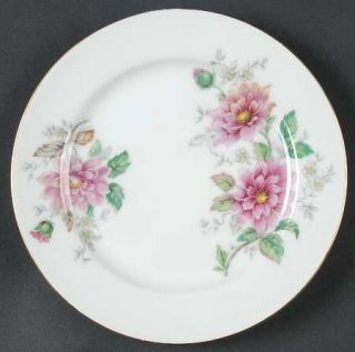 Citadel Devon Bread & Butter Plate, Fine China Dinnerware   Large Pink Flowers,Y
