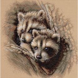 Two Raccoon Cubs Counted Cross Stitch Kit 11x11