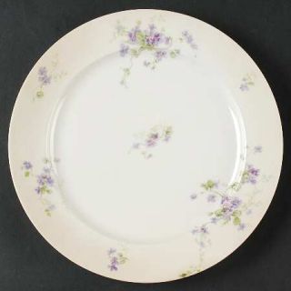 Chas Field Haviland Chf130 Dinner Plate, Fine China Dinnerware   Purple Violets,