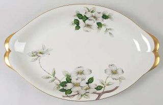 Meito Livonia  (Off White Background) 17 Oval Serving Platter, Fine China Dinne