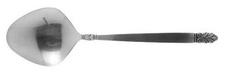 International Silver Norse (Stainless) Solid Smooth Casserole Spoon   Stainless,