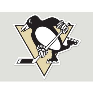 Pittsburgh Penguins Wincraft Die Cut Color Decal 8in X 8in