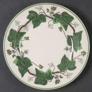 Wedgwood Napoleon Ivy Green Bread & Butter Plate, Fine China Dinnerware   Queen