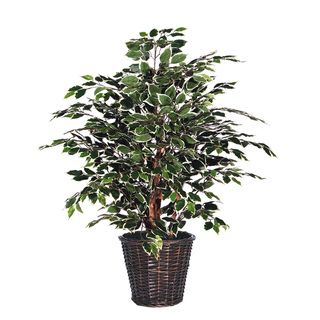 4 foot Variegated Extra Full Decorative Plant