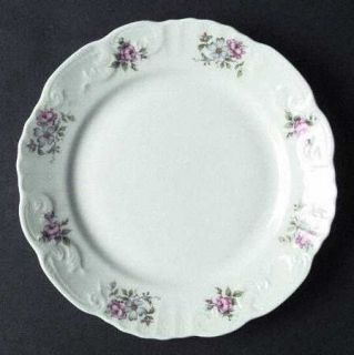 Princess House Rose Garden Salad Plate, Fine China Dinnerware   Fine Porcelain,P