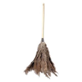 Unisan Economy Ostrich Feather Duster, 31