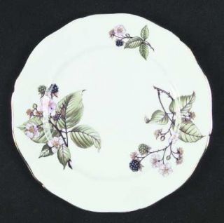 Adderley Bramble Salad Plate, Fine China Dinnerware   Berries &  Flowers, Scallo