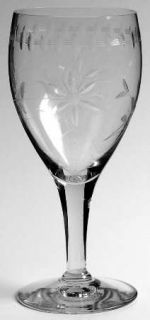 Unknown Crystal Unk7142 Water Goblet   Clear,Polish/Gray Cut Flowers,Ovals&Line