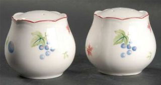 Nikko Dorchester Salt & Pepper Set, Fine China Dinnerware   Provincial Designs,