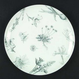 Mikasa Botanique Dinner Plate, Fine China Dinnerware   Green On White Flowers &