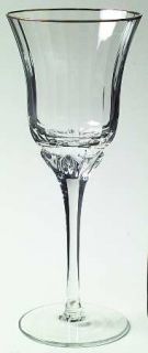 Block Crystal Radiance Water Goblet   Clear, Optic