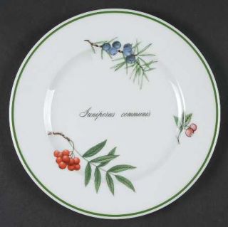 Apilco Elysian Gardens Dessert/Pie Plate, Fine China Dinnerware   Flowers & Frui
