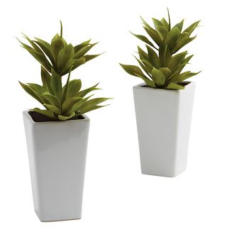 Double Mini Agave And Planter Decorative Plants (set Of 2)