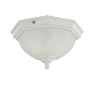 Craftsman Energy Star Collection Ceiling mount 2 light Outdoor Textured White Light Fixture