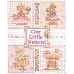 Baby Hugs Baby Princess Birth Record Counted Cross Stitch Ki 9x12 14 Count