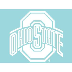 Ohio State Buckeyes Wincraft Die Cut Decal 8x8