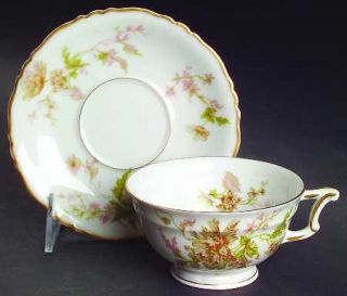 Haviland Poppy Footed Cup & Saucer Set, Fine China Dinnerware   France, Pink Flo
