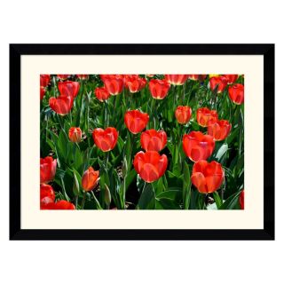 J and S Framing LLC Tulips Tulips Framed Wall Art   38.62W x 28.62H in.