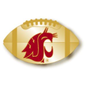 Washington State Cougars AMINCO INC. Sculpted Football Pin