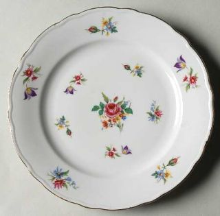 Winterling   Bavaria Meissen Gardens/Bayreuth Salad Plate, Fine China Dinnerware