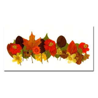 Trademark Global Inc September Wall Art by Kathie McCurdy Multicolor   KM0146 
