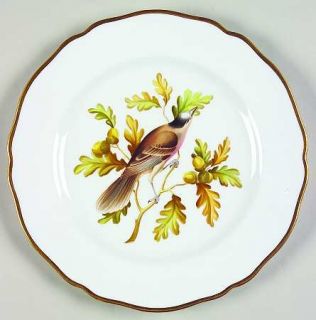 Spode Audubon Birds Luncheon Plate, Fine China Dinnerware   Bone, Various Bird C