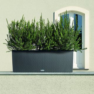 Rectangle Lechuza Trio Cottage 30 Self Watering Resin Planter   15003
