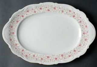 Mitterteich Lady Claire 14 Oval Serving Platter, Fine China Dinnerware   Pink R