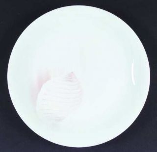 Noritake Sea Gems Dinner Plate, Fine China Dinnerware   Large Seashells, Smooth,