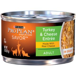 Savor Turkey & Cheddar Cheese Adult Canned Cat Food in Gravy, 3 oz.