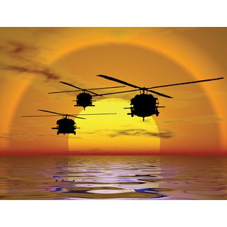 Brewster Helicopter Sunset Wall Mural (SmallSubject LandscapesImage dimensions 96 inches x 126 inchesOutside dimensions 96 inches x 126 inches )